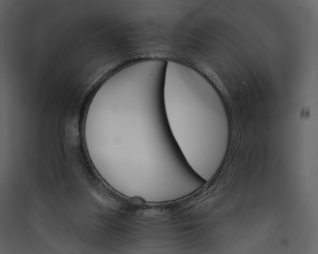 X0000089940251200707131500