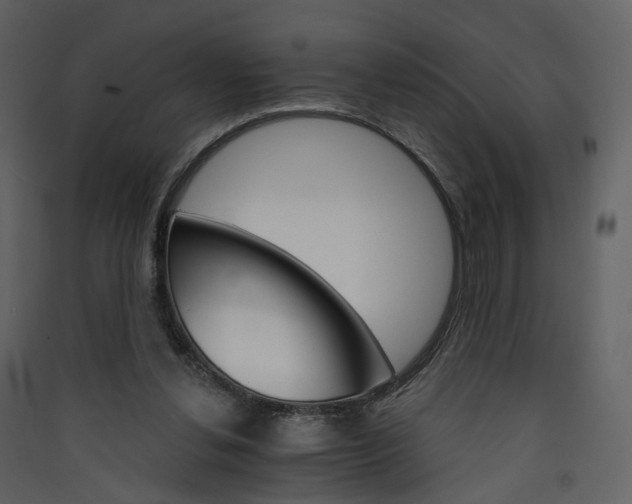 X0000089940252200707131500