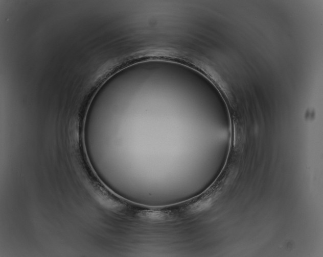 X0000089940253200707131500