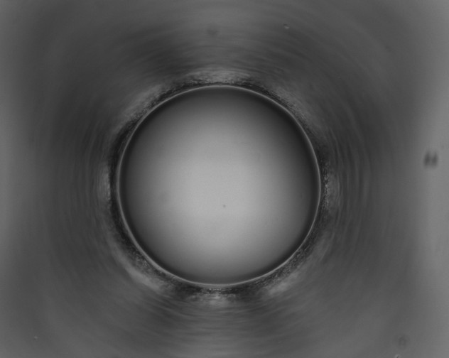 X0000089940254200707131500