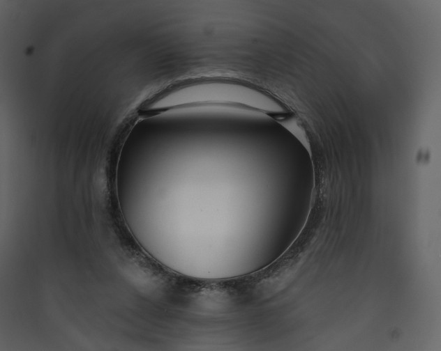 X0000089940256200707131500