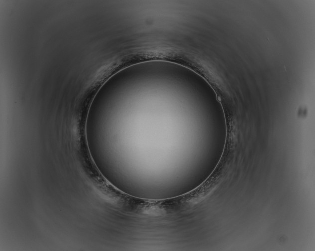 X0000089940258200707131500