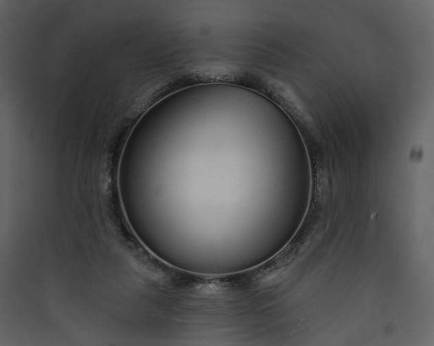 X0000089940259200707131500