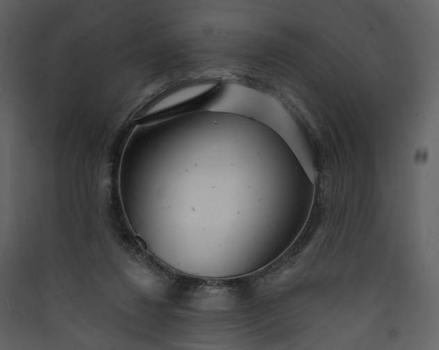 X0000089940260200707131500