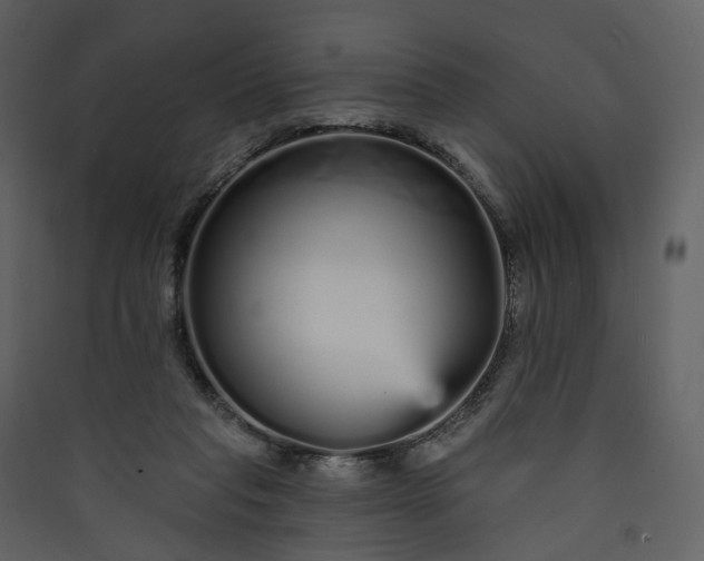 X0000089940261200707131500