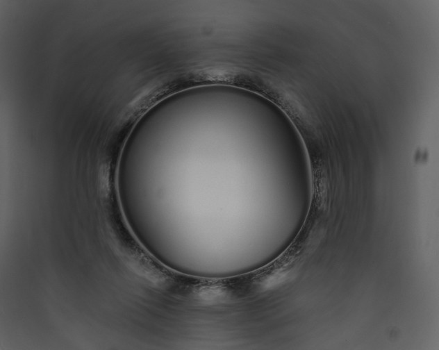 X0000089940262200707131500