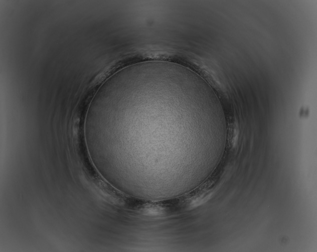 X0000089940263200707131500