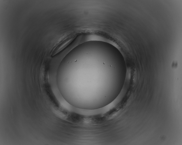 X0000089940264200707131500