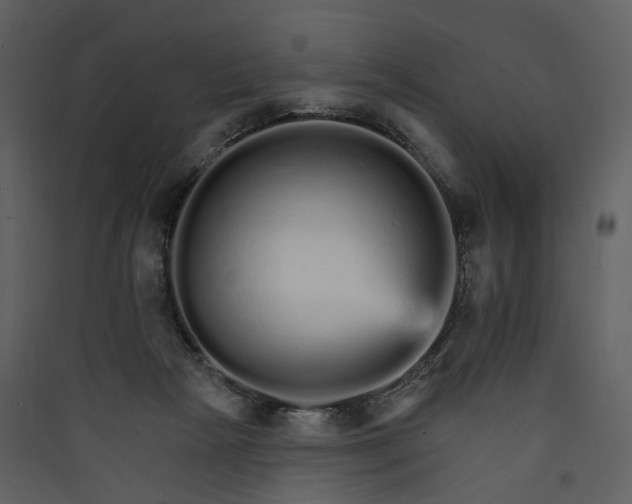 X0000089940265200707131500