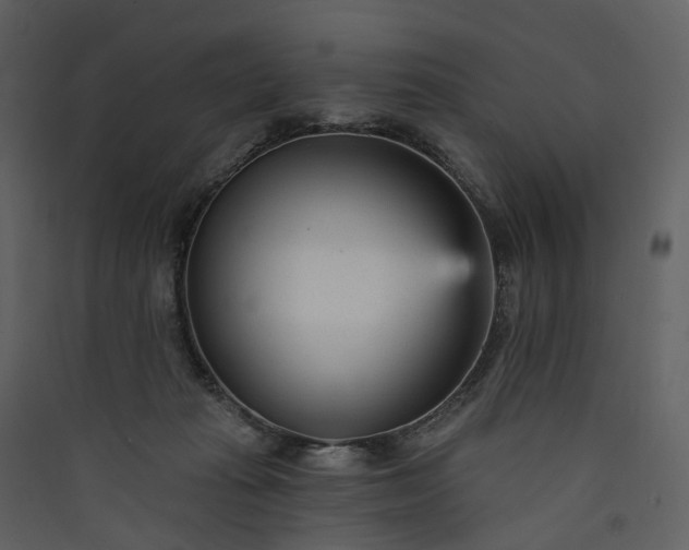 X0000089940269200707131500