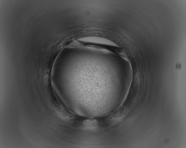 X0000089940271200707131500