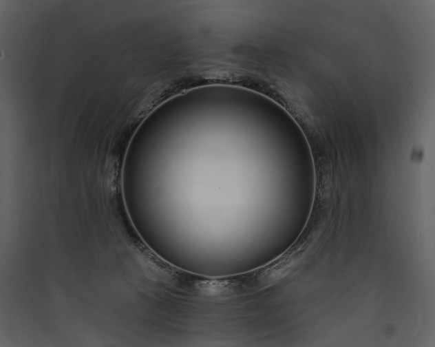 X0000089940273200707131500