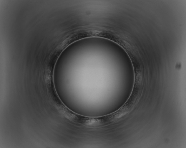 X0000089940274200707131500