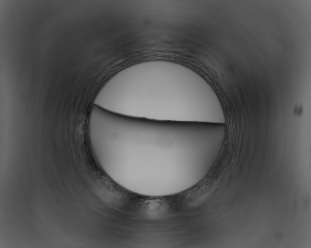 X0000089940275200707131500