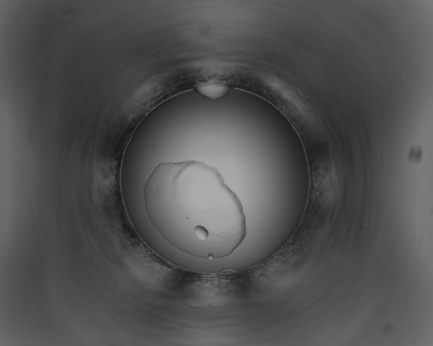 X0000089940278200707131500