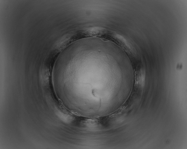 X0000089940279200707131500