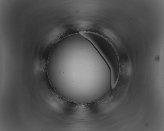 X0000089940280200707131500