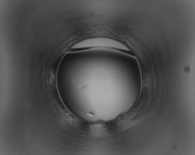 X0000089940281200707131500