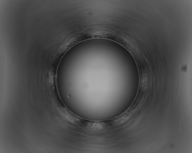 X0000089940282200707131500