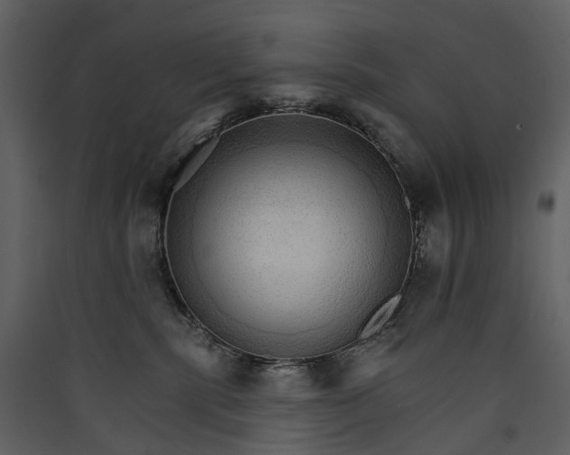 X0000089940283200707131500