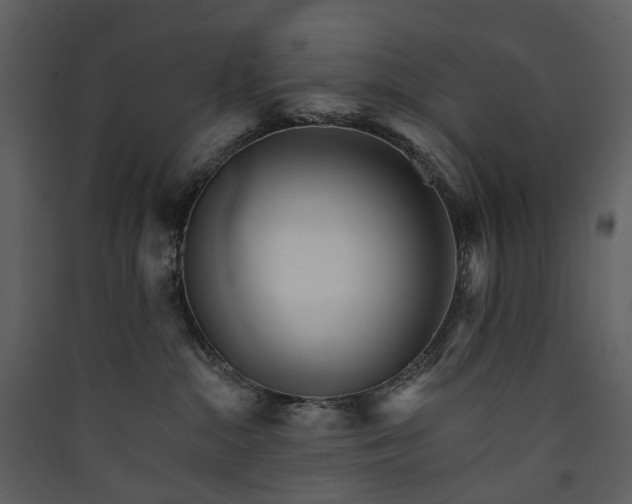 X0000089940284200707131500