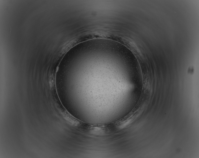 X0000089940285200707131500