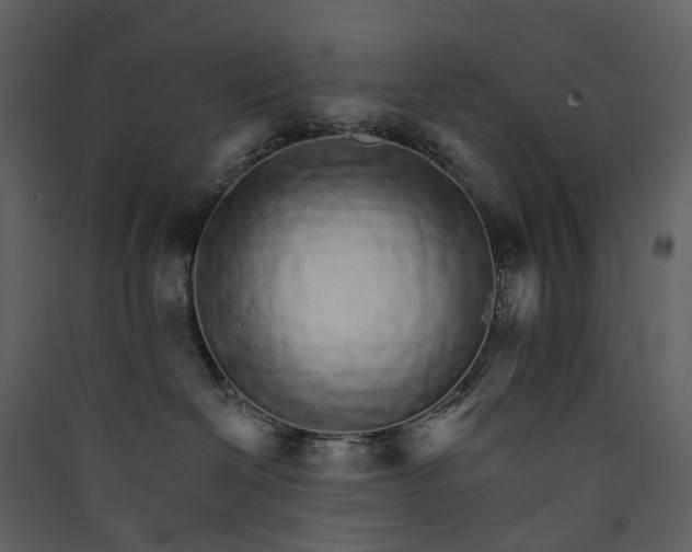 X0000089940286200707131500