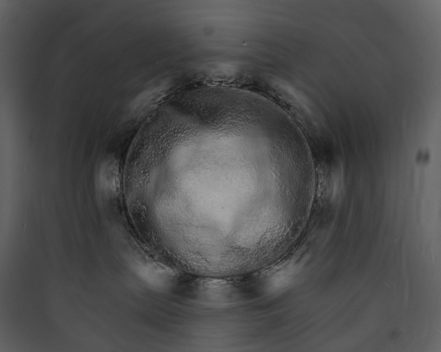 X0000089940287200707131500