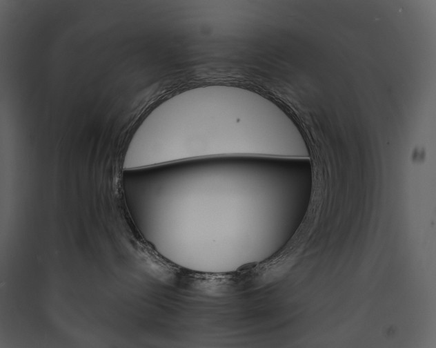 X0000089940288200707131500