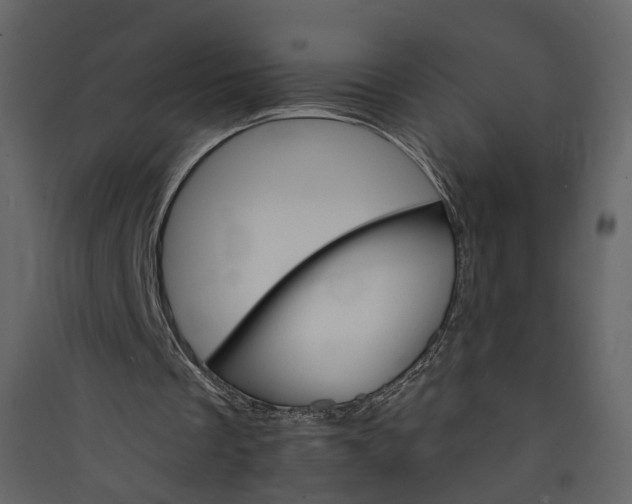 X0000089940289200707131500