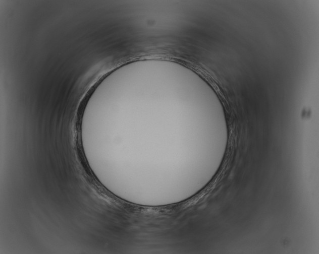 X0000089940290200707131500