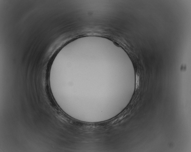 X0000089940291200707131500