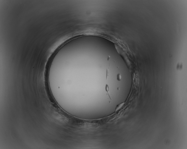 X0000089940292200707131500