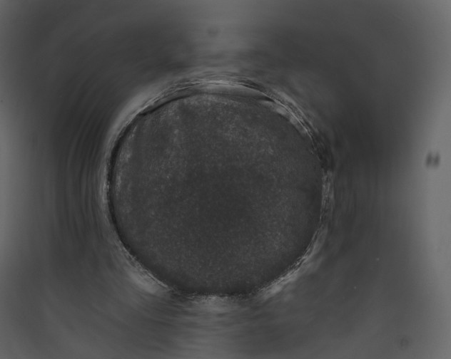 X0000089940293200707131500