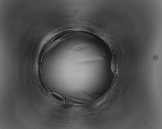 X0000089940294200707131500