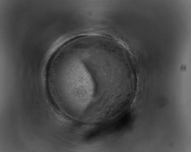 X0000089940295200707131500