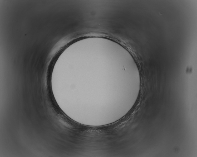 X0000089940296200707131500