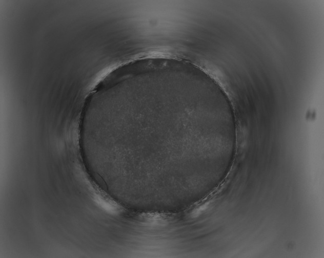 X0000089940297200707131500