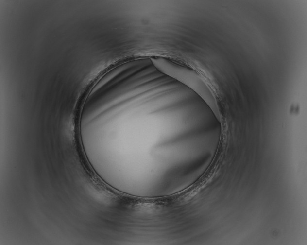 X0000089940298200707131500