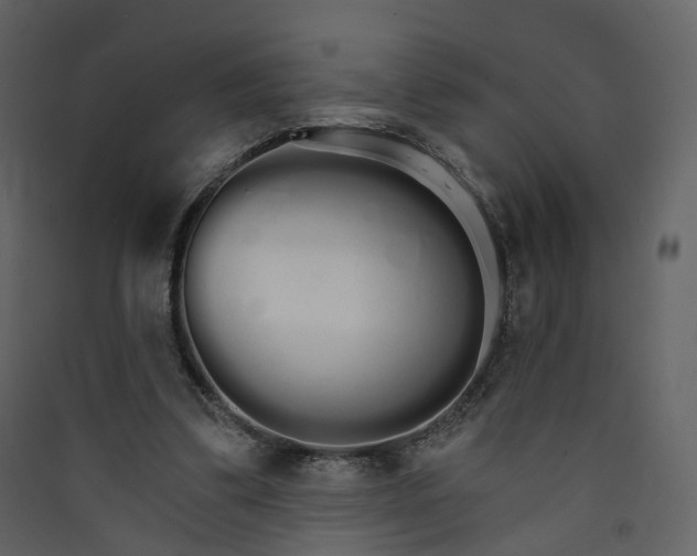 X0000089940299200707131500