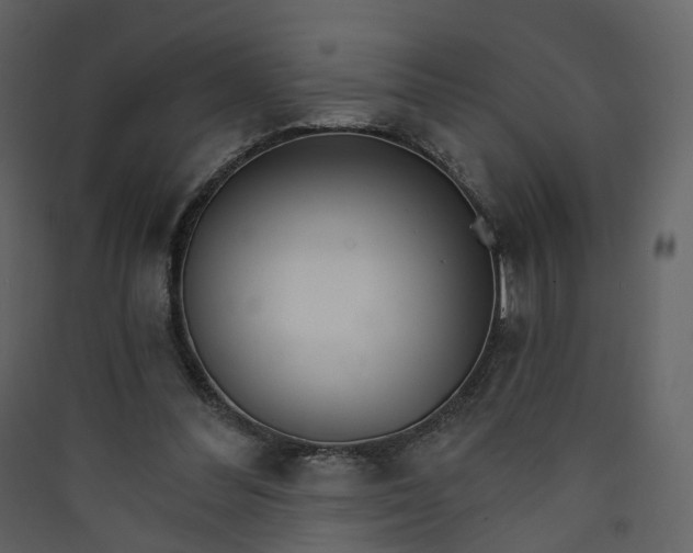 X0000089940300200707131500