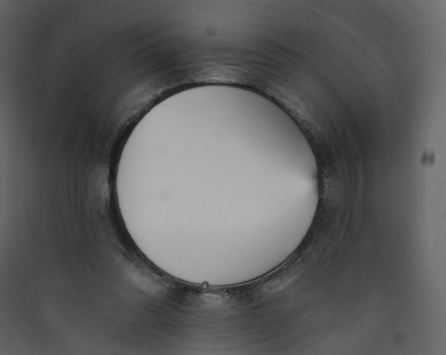 X0000089940302200707131500