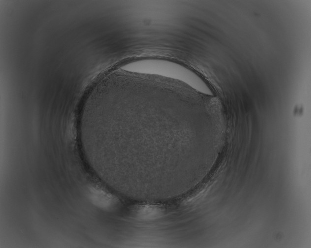 X0000089940303200707131459