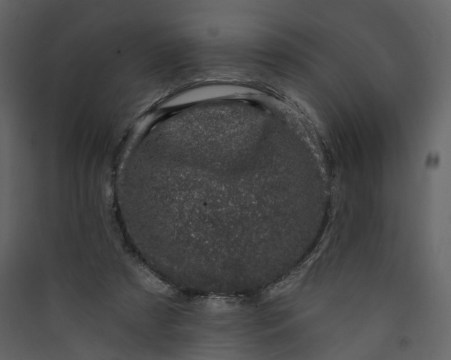 X0000089940305200707131459