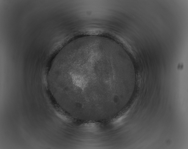 X0000089940307200707131459