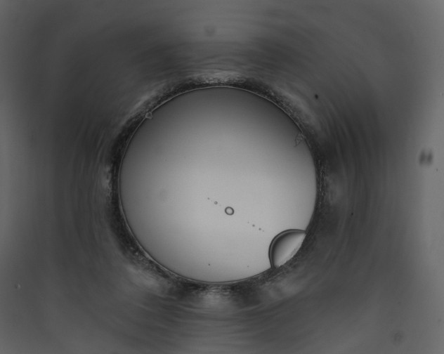 X0000089940308200707131459