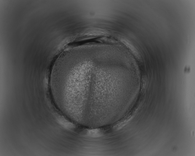 X0000089940309200707131459