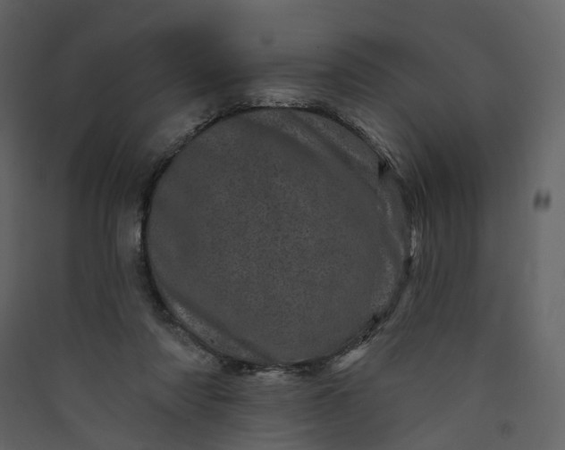 X0000089940310200707131459