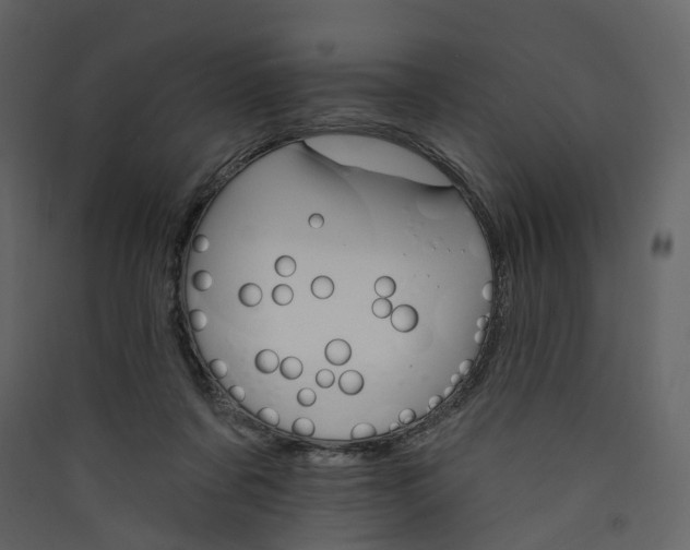 X0000089940311200707131459