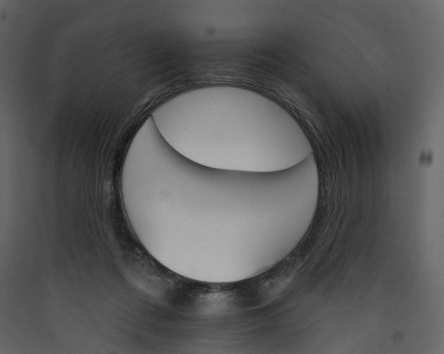 X0000089940312200707131459